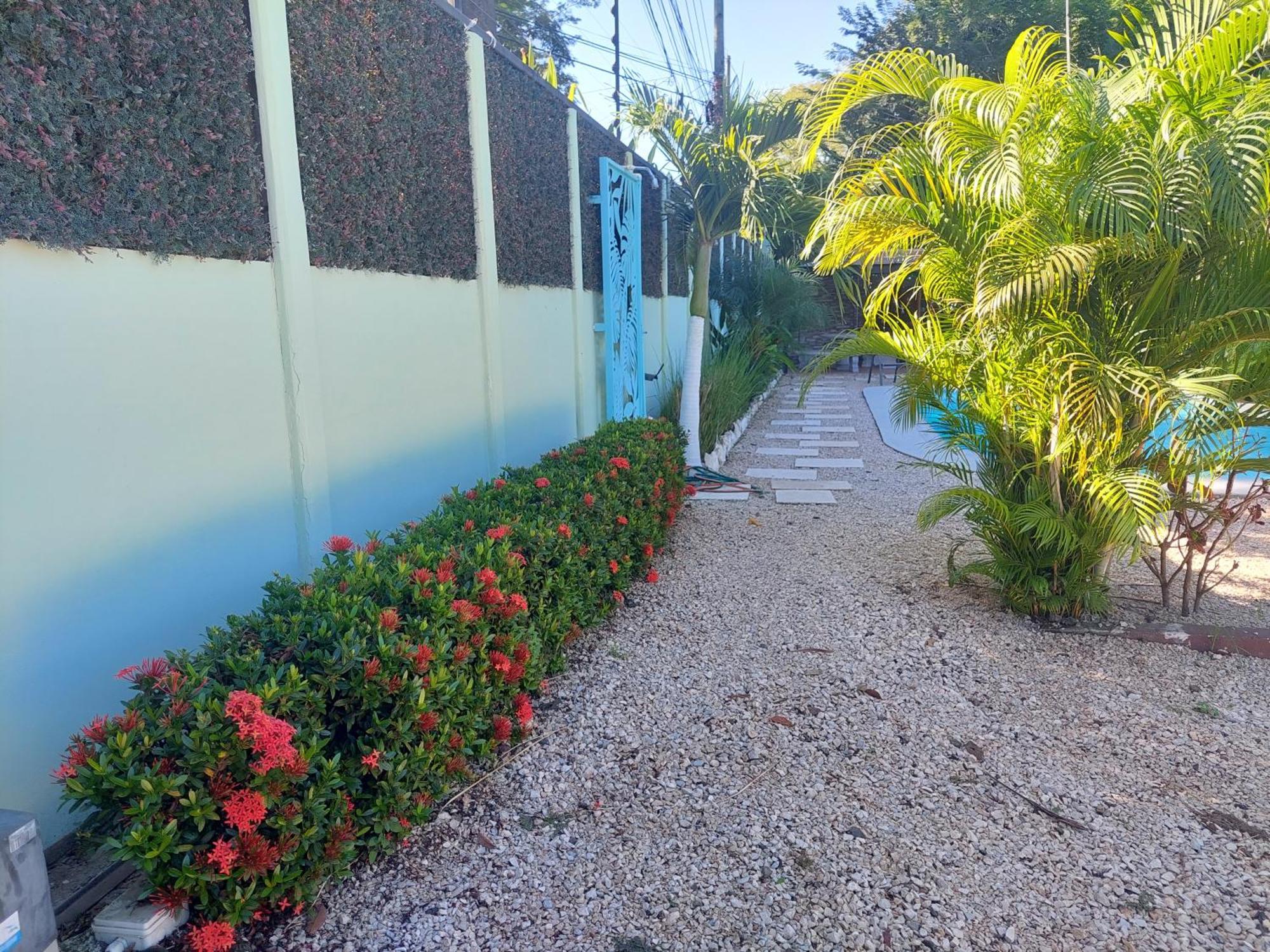 Hotel Carlota Tamarindo Luaran gambar